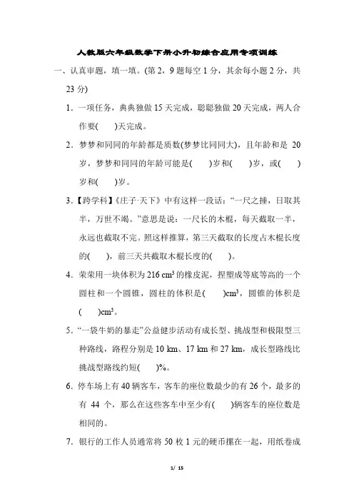 人教版六年级数学下册小升初综合应用专项训练含答案