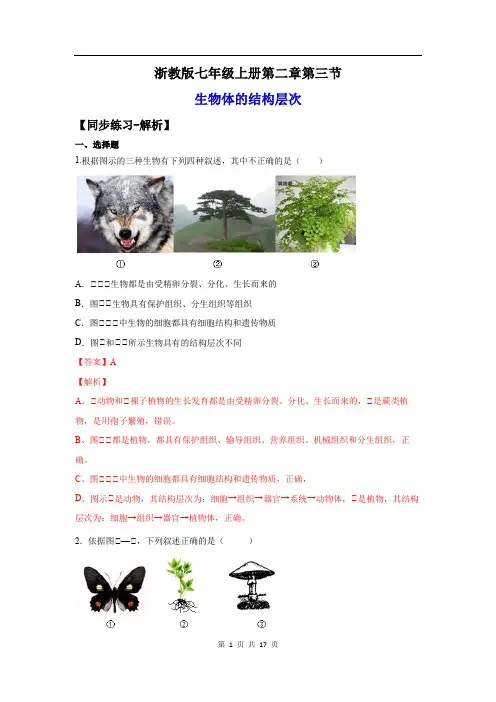 2.3生物体的结构层次(练习)(解析版)