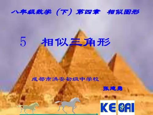 初中数学八年级下册《相似三角形》