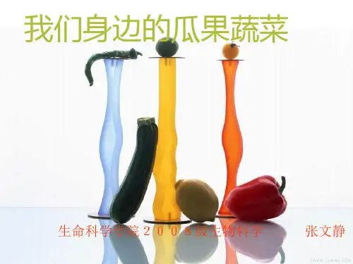 我们身边的瓜果蔬菜