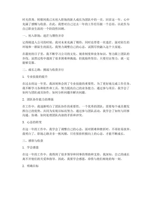 刚进公司到工作一年感言