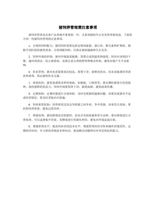 猪饲养管理需注意事项