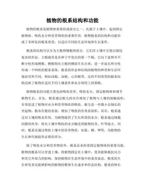 植物的根系结构和功能