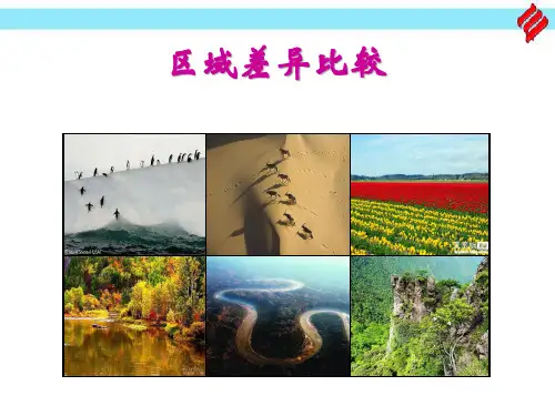 高中地理 世界区域地理--以日本英国为例(共33张PPT)比较法二轮复习