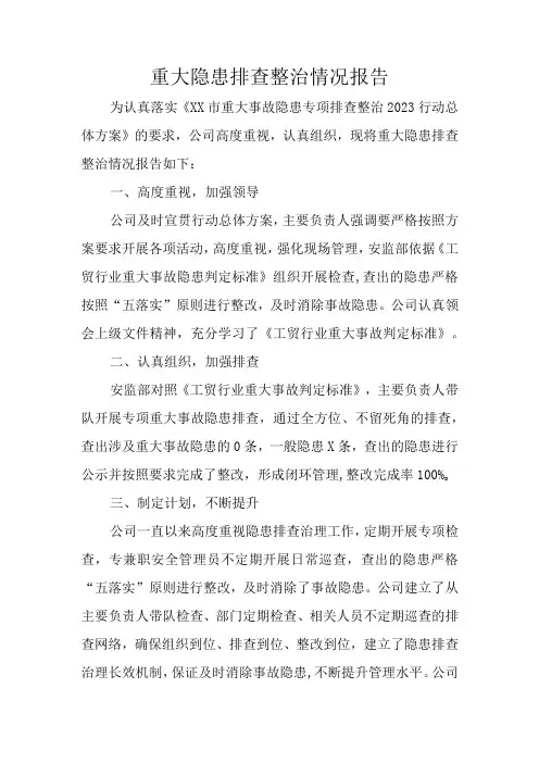 重大事故隐患排查整治情况报告