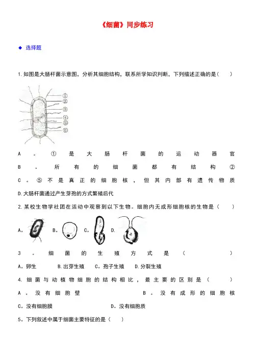 八年级生物上册5.4.2《细菌》练习新人教版(new)