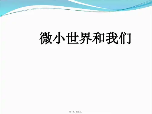 微小世界和我们ppt