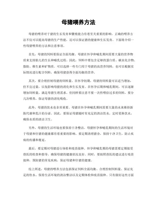 母猪喂养方法