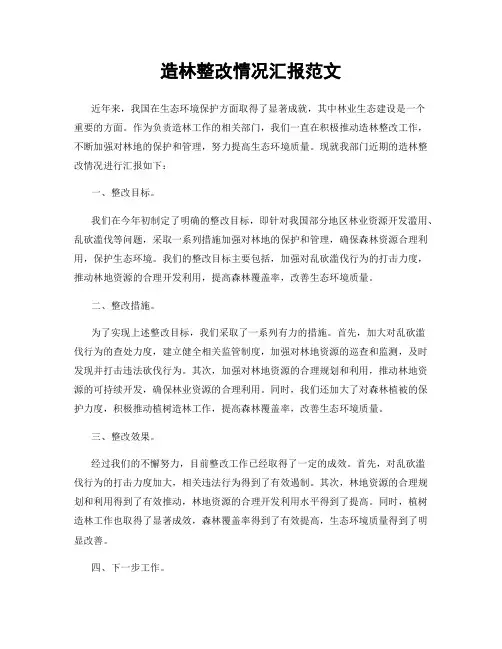 造林整改情况汇报范文