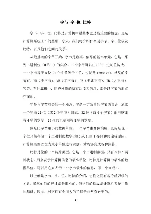 字节 字 位 比特