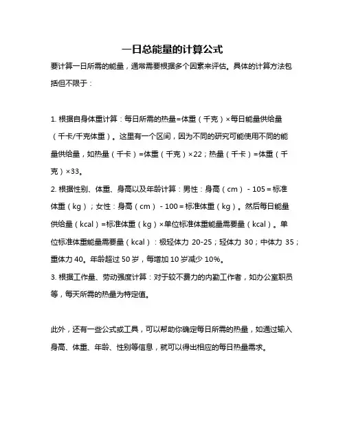 一日总能量的计算公式