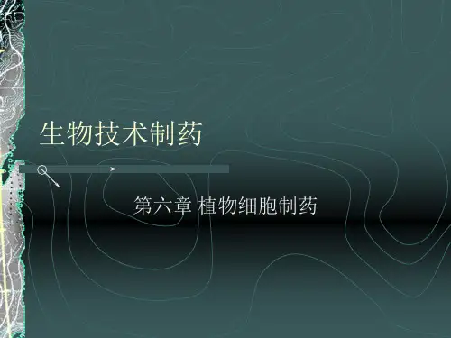 生物技术制药-06讲义教材