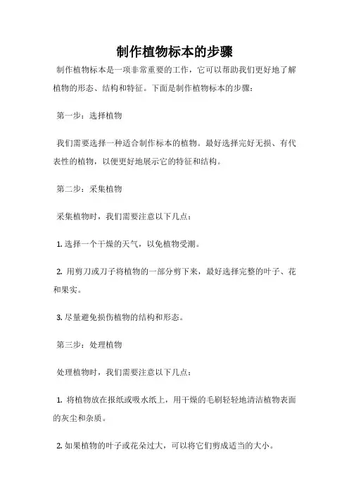 制作植物标本的步骤