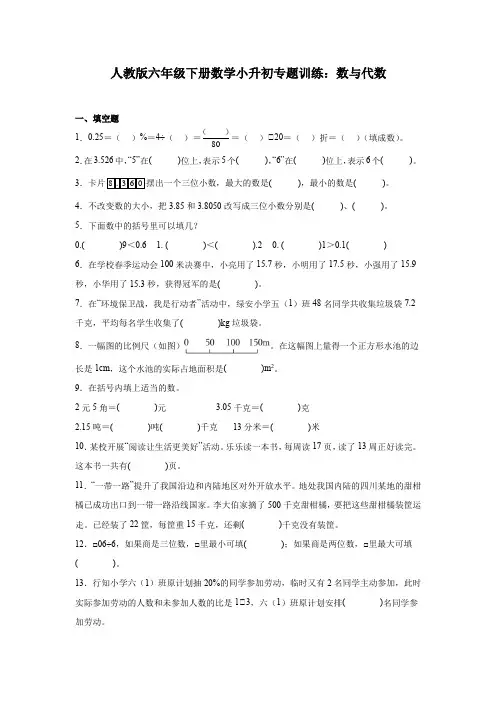 2024人教版六年级下册数学小升初专题训 数与代数(含答案)