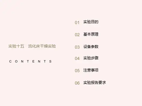 实验十五流化床干燥实验