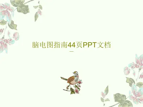 脑电图指南44页PPT文档PPT共46页