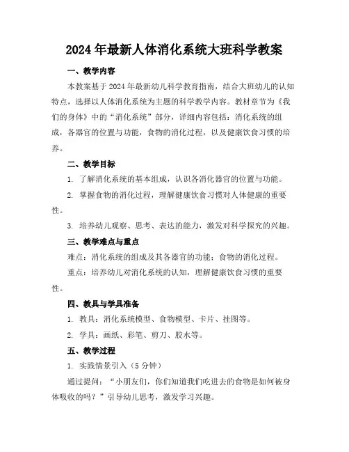 2024年最新人体消化系统大班科学教案