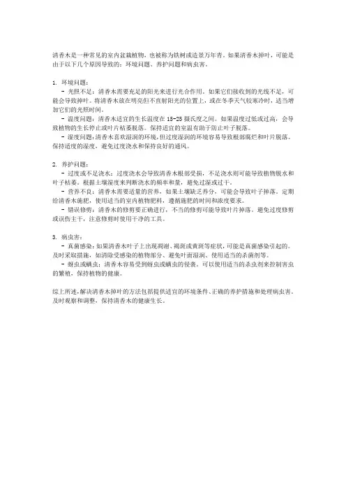 清香木掉叶子的解决方法