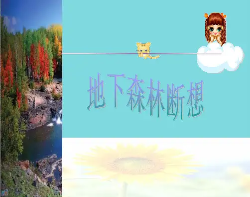 语文九年级下人教新课标第11课地下森林断想》课件1(分析“森林”文档)共8张PPT