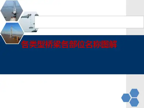 各类型桥梁各部位名称图解