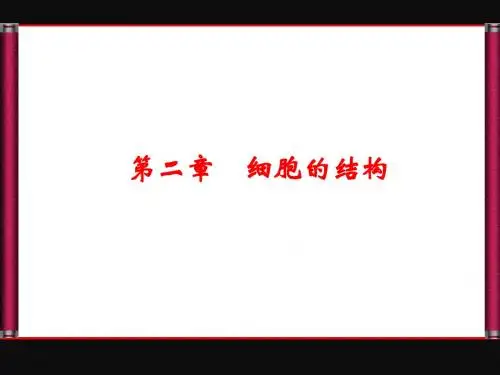 生物必修1细胞膜和细胞壁课件