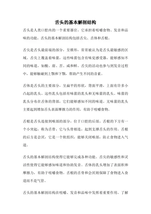 舌头的基本解剖结构