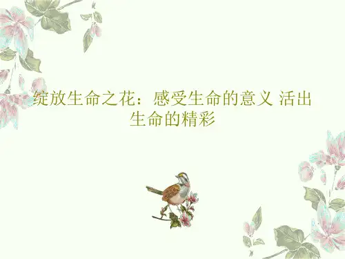 绽放生命之花：感受生命的意义 活出生命的精彩PPT56页