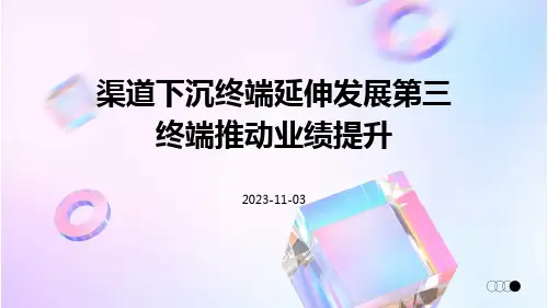 渠道下沉终端延伸发展第三终端推动业绩提升