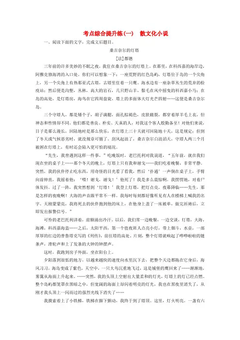 高考语文大一轮复习第一章第二节小说阅读考点综合提升练(一)散文化小说