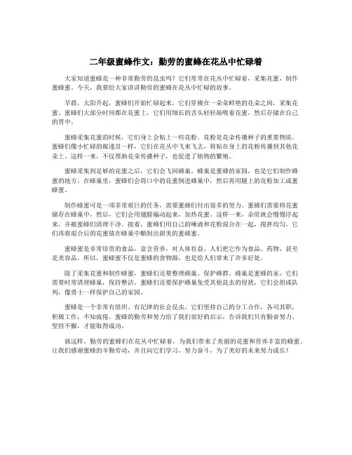二年级蜜蜂作文：勤劳的蜜蜂在花丛中忙碌着