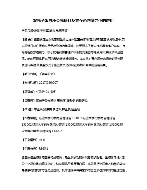 双光子蛋白质荧光探针及其在药物研究中的应用
