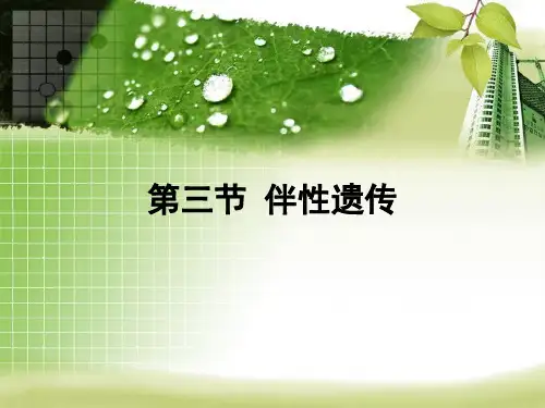 高中生物必修2第二章基因和染色体的关系第三节 伴性遗传(共28张PPT)