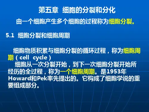 河南大学生命科学学院普通生物学5—细胞周期