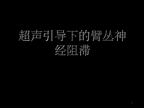 超声引导下的臂丛神经阻滞ppt课件
