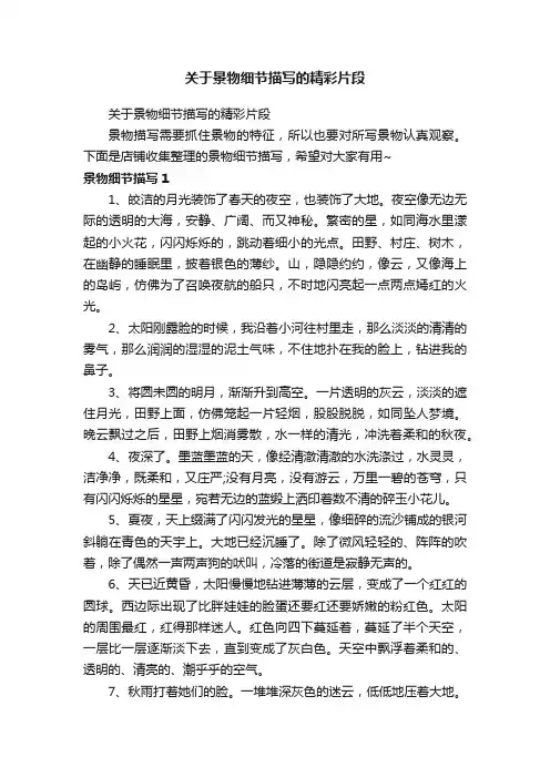 关于景物细节描写的精彩片段