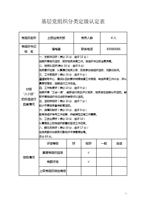 事业单位基层党组织分类定级自查