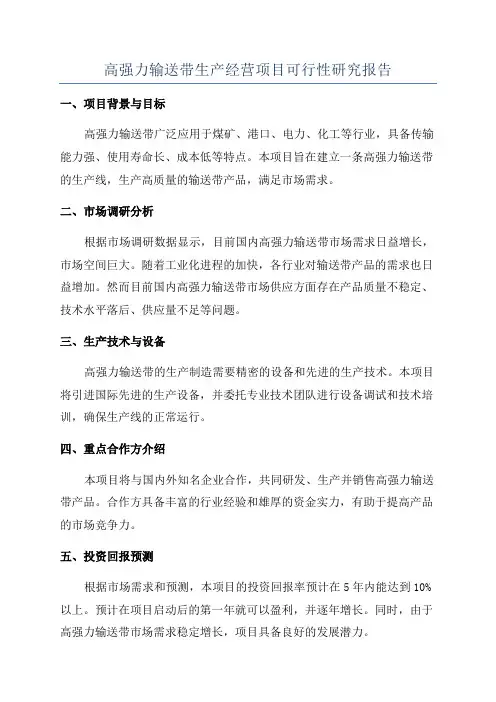 高强力输送带生产经营项目可行性研究报告