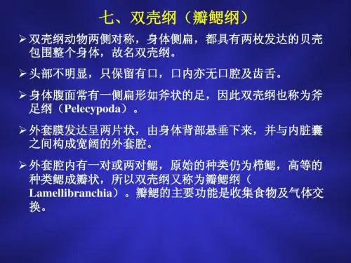 第五章 软体动物门2