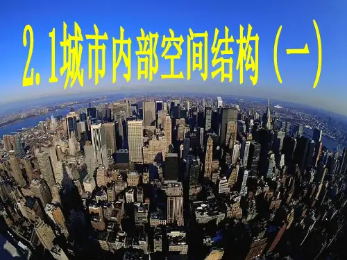 风向玫瑰图