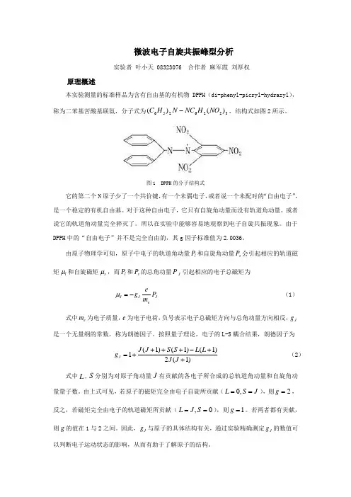 微波段电子自旋共振峰型分析