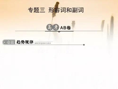 2020年高考英语总复习课件：专题3 形容词和副词
