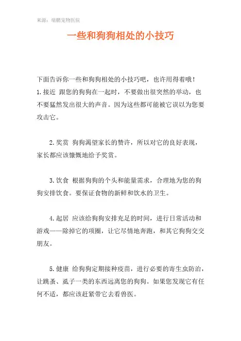 一些和狗狗相处的小技巧