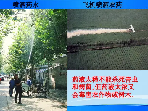 人教版初中化学九下9.3 溶液的浓度 溶质的质量分数 课件 最新课件