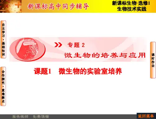 高三一轮总复习高级高中生物选修一课件专题微生物的培养与应用课题ppt