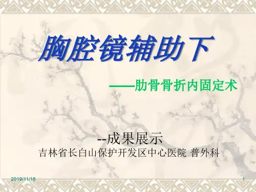 肋骨骨折内固定术PPT