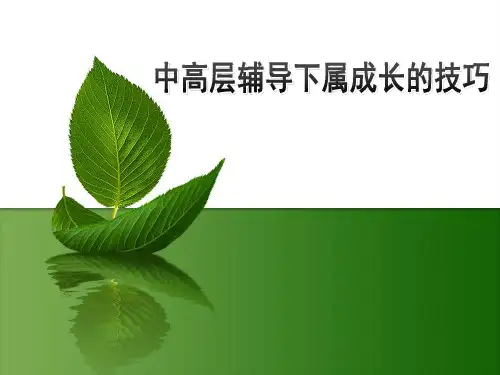 中高层辅导下属成长的技巧