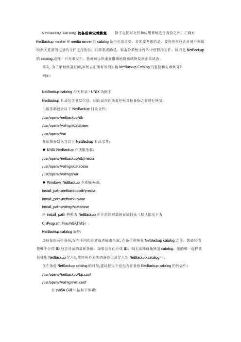 NETBACK灾难恢复