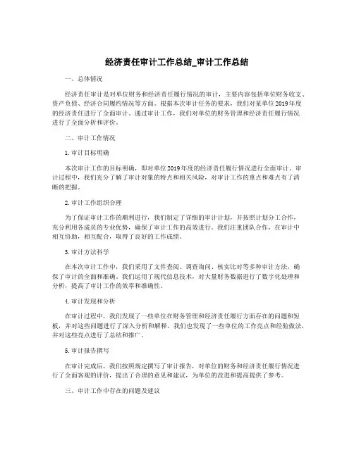 经济责任审计工作总结_审计工作总结