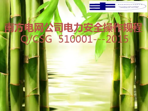 南方电网公司电力安全操作规程培训课件