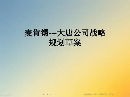 麦肯锡---大唐公司战略规划草案